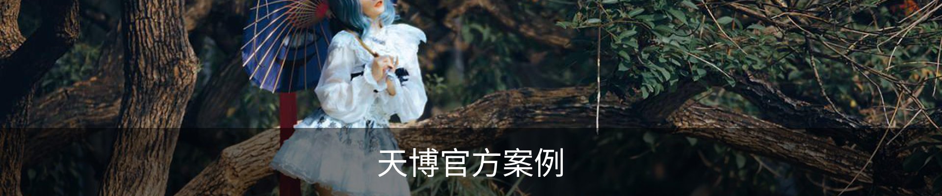 天博官方案例