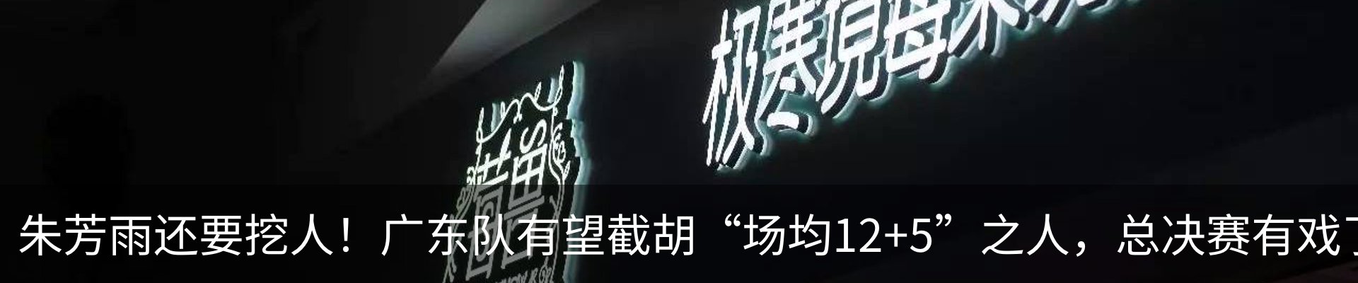 新闻动态